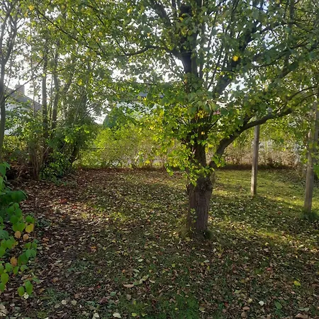 Marla Prázdninový dům Schwebda