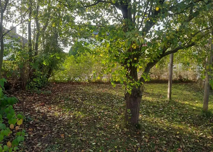 Marla Casa vacanze Schwebda